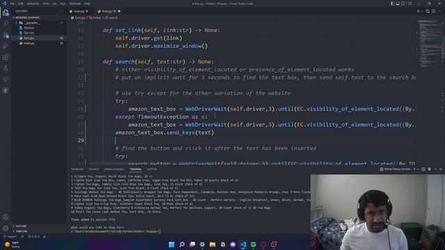 HOW THE WORLD SHOPS NOW! Python modern shopper part 8: Completion/Recap смотреть онлайн