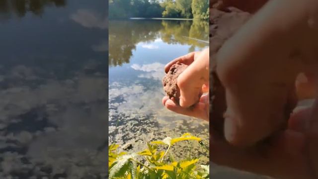 Рыбалка в теплый день.