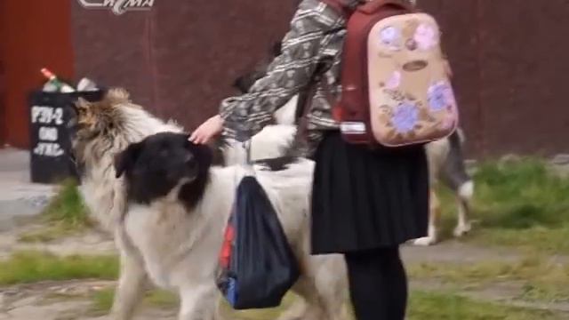 Есть проблема: смотреть онлайн