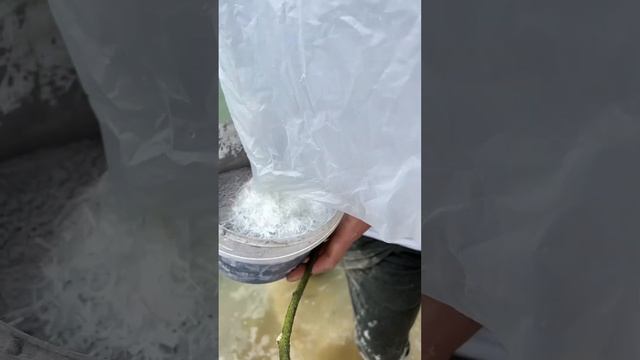 Джек Воробей и Бетонная Черная жемчужина! #бетон #мастеркласс #джекворобей #чернаяжемчужина