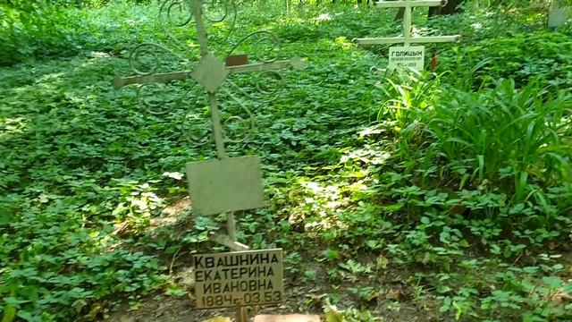 Кладбища тоже умирают.... Дьяковское кладбище.... смотреть онлайн