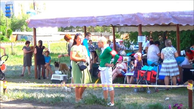 Выставка 24 мая 2015 смотреть онлайн