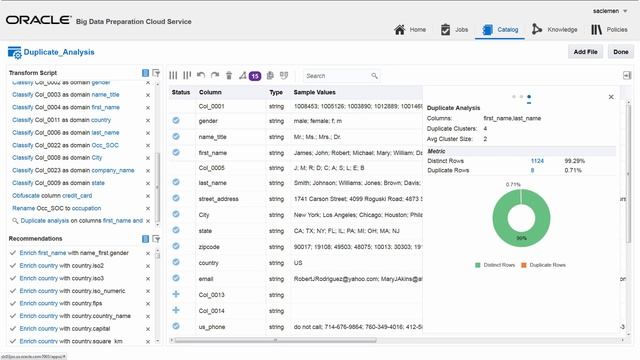 Oracle Big Data Preparation Cloud Service: Performing Duplicate Analysis смотреть онлайн