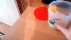 Содержание джунгарика