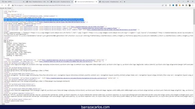 ⭐ WPML Hreflang added automatically in Wordpress Website смотреть онлайн