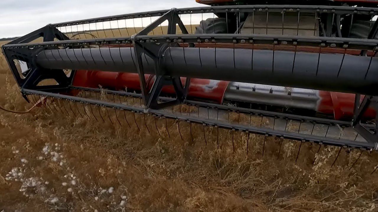 Причина отказа генератора на Векторе и выезд на уборку чечевицы смотреть онлайн