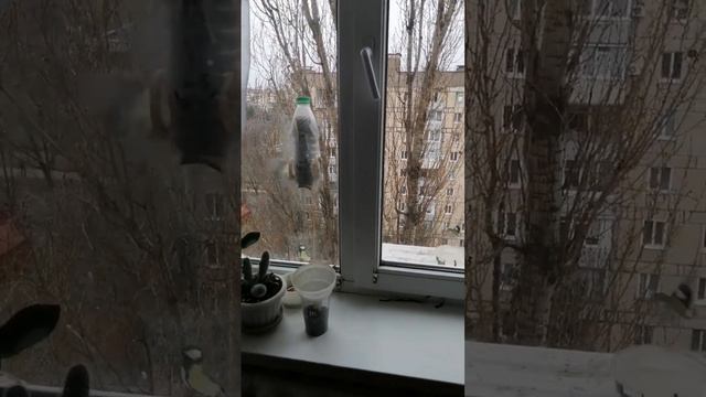 Нас не запугать и не победить 🇺🇦🇺🇦🇺🇦 смотреть онлайн