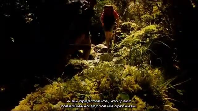 Секрет, эффект плацебо, мысль материальна