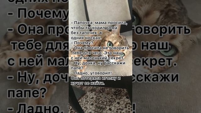 Ходи без тапочек ? #анекдоты #анекдоткороткий #анекдототкожаного смотреть онлайн
