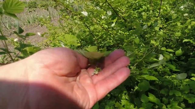 НАДО БЫЛО РАНЬШЕ ЗАКРЫТЬ / НЕОЖИДАННАЯ ПЕРЕСТАНОВКА смотреть онлайн