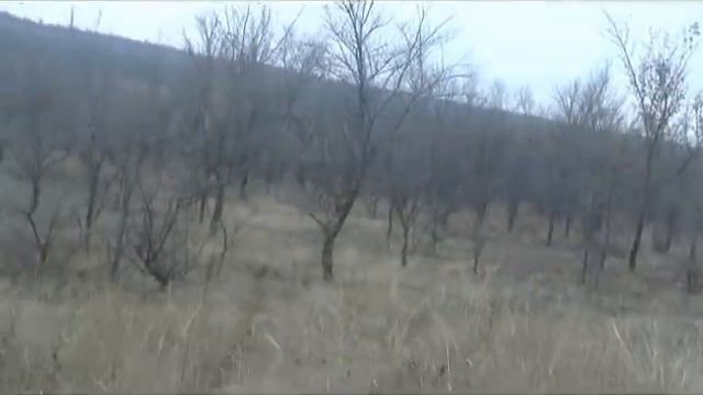 охота с гончими смотреть онлайн