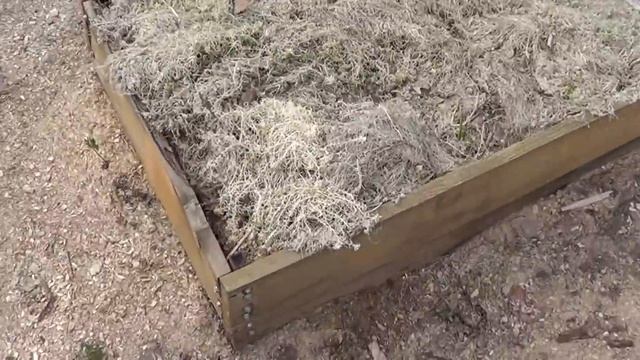 Подготовка высокой грядки под морковку и лук ЭКСПЕРЕМЕНТ смотреть онлайн