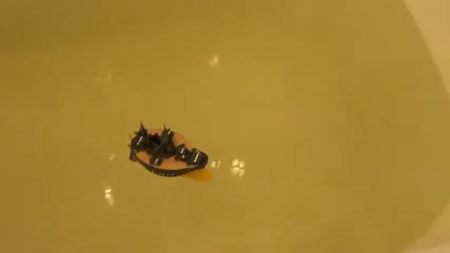 Яйцеплав "Musashi" от Fujimi с мотором Tamiya. Eggship "Musashi" with Tamiya motor. смотреть онлайн