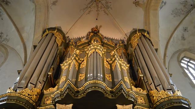 M. Weckmann - Canzona in d смотреть онлайн