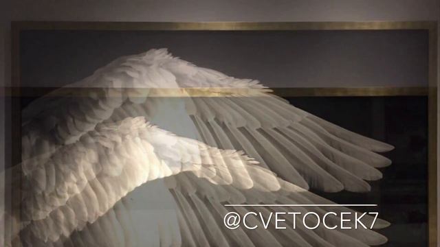 cvetocek7 x amurbeatz. - нету места для тебя смотреть онлайн