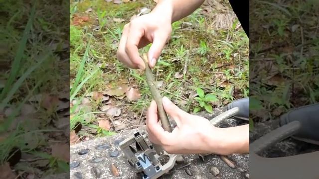 ✂ Секатор для прививок смотреть онлайн