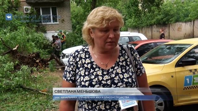 Сильнейший ливень с грозой, обрушившийся на Дмитровский городской округ, повалил множество деревьев смотреть онлайн