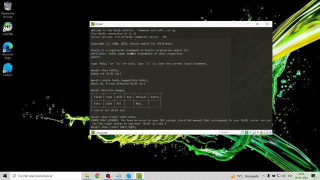 Blob Mariab/Mysql смотреть онлайн