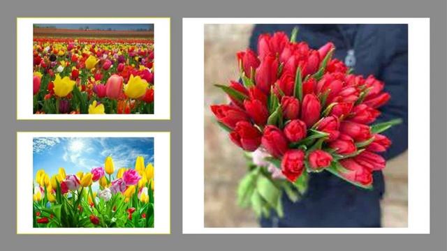 Цветущая весна смотреть онлайн