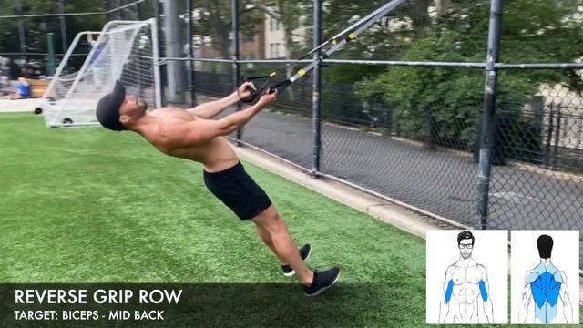 12 TRX / SUSPENSION TRAINER ARM EXERCISES смотреть онлайн