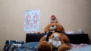 это проклятый большой плюшевый медведь! Смотрите ему на руки, на живот, на ноги, на голову в описан