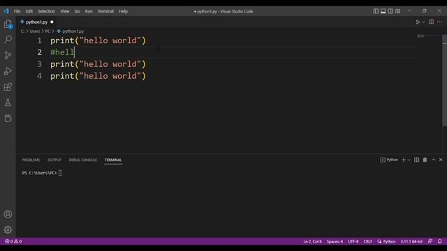 Comment in python | Python for Beginners смотреть онлайн