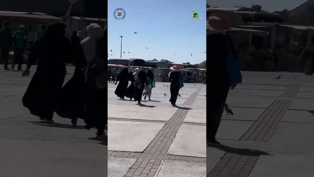 #tezkor Madiani munavvaradagi ziyoratchilarni ko`ring #uzbekistan #ramazon #umrah #umra смотреть онлайн