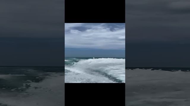 ПРОГУЛКА ПО ЧЁРНОМУ МОРЮ смотреть онлайн