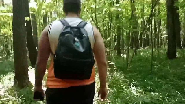 Лесная прогулка в Битцевском парке 2023 смотреть онлайн
