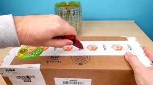 Новые питомцы: куколки Тропических бабочек и Бабочкариум! Посылка из США! alex boyko