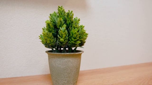 Квартиры посуточно в Подольске смотреть онлайн