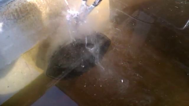 Electrolysis At Work On A Cast Iron Skillet смотреть онлайн