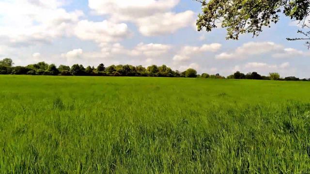 Parrot Anafi Drone, Cameraman, Orbitshot, Timelapse, 2022, 4K смотреть онлайн