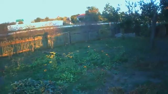 Белгаза цветы и пчёлы смотреть онлайн