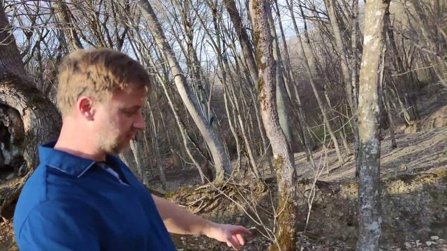 Черемша. Сбор и приготовление черемши.