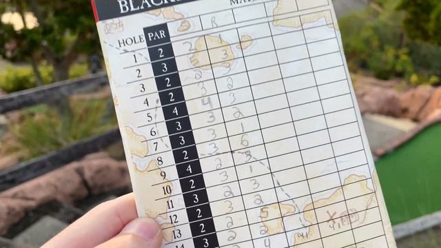 LEGO Store w/ TRLegosfan, $10,000 FRIDGE, & CLOSE Mini-Golf Game! | MandRproductions LEGO Vlog! смотреть онлайн