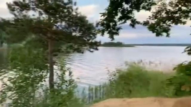 Ребрышки на гриле Forester SKV-M. Видео-отзыв покупателя смотреть онлайн