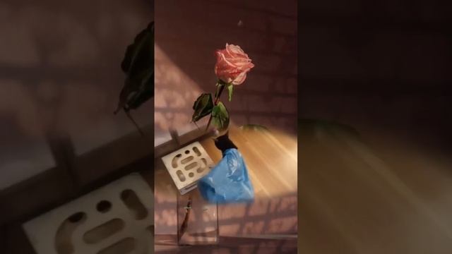 1 марта - День кошек в России смотреть онлайн