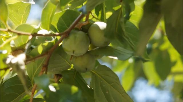 Примеры фото с Sony a57 смотреть онлайн