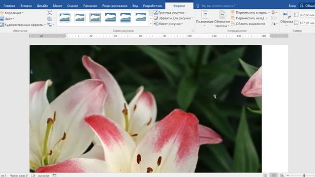 Как сделать страницу ворда картинкой смотреть онлайн