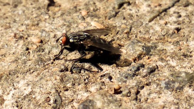 Чёткие, имеющие смысл движения. Могло такое возникнуть само? смотреть онлайн