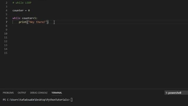 Introduction to Python programming in SHONA - while loops смотреть онлайн