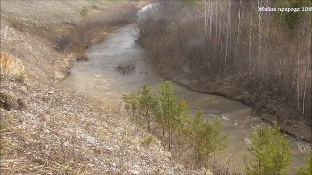 Тогучинская природа HD_ река Тогучинка_19.04.16 смотреть онлайн