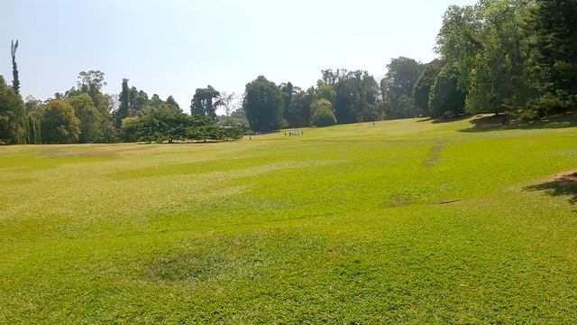 Канди. Королевский ботанический сад. Шри Ланка своим ходом. смотреть онлайн