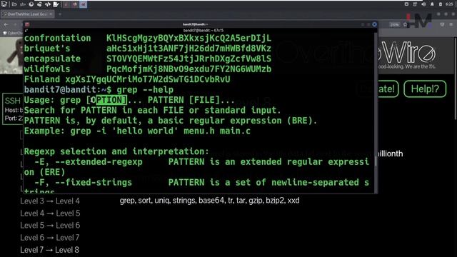 Bandit - 7 | Global Regex Print смотреть онлайн