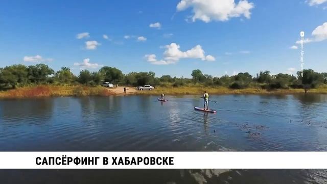 Сапсёрфинг как бизнес смотреть онлайн