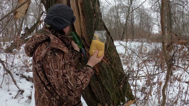 Автокормушка для птиц, или куда пристроить кусок сантехнической трубы смотреть онлайн