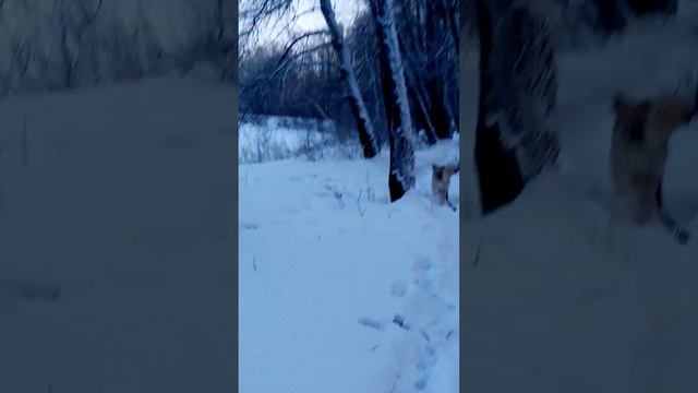 А КАК ВАША ЗИМА? (3) смотреть онлайн