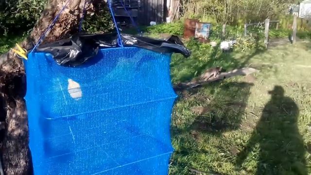 Солим рыбу ,к какому способу засолки я пришол опытным путем,вкусная в меру соленая рыба смотреть онлайн