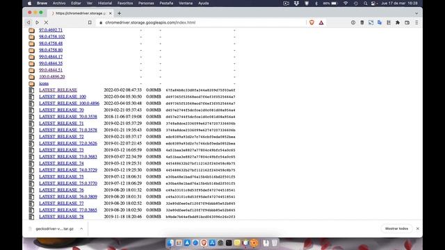 Framework Selenium Maven JavaFX Netbeans 16.2 смотреть онлайн
